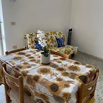 Ponzamania Da Gino * Ponza