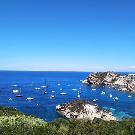 Ponzamania Da Gino *