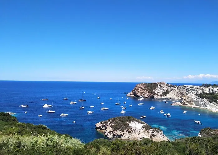 Ponzamania Da Gino *